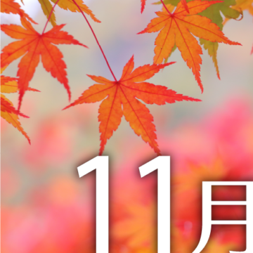 11月